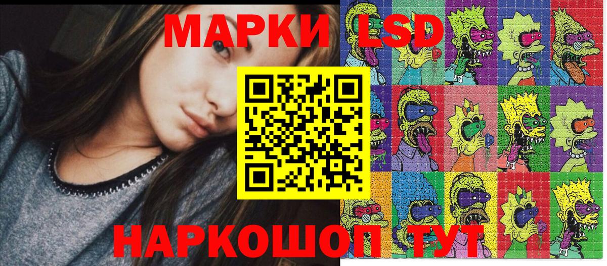 МЕФ Вязники