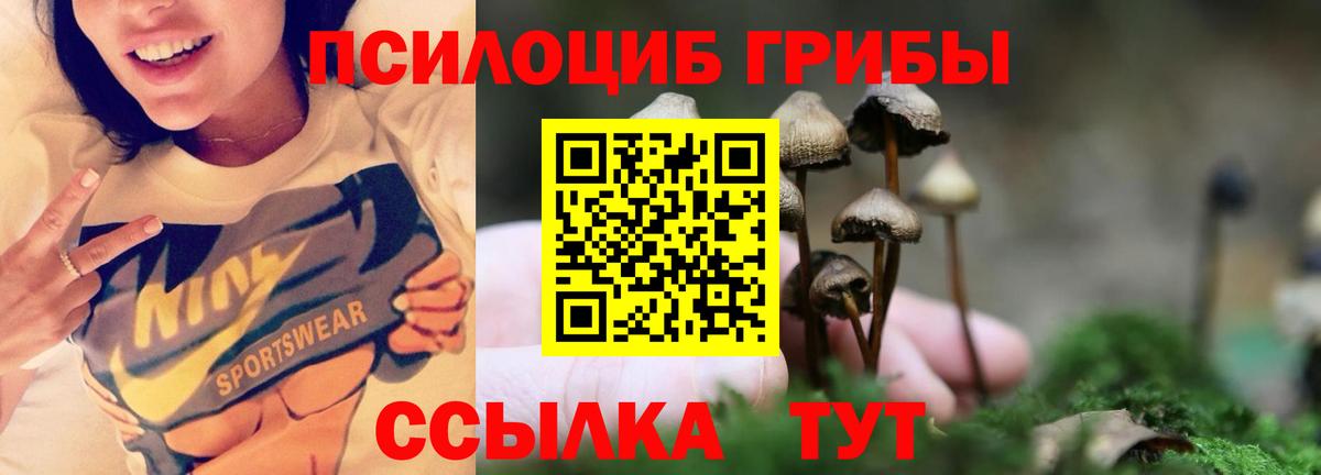 Псилоцибиновые грибы ЛСД Вязники